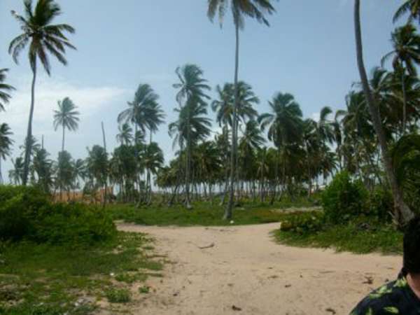 Town Of Higuey, East Part Of Island