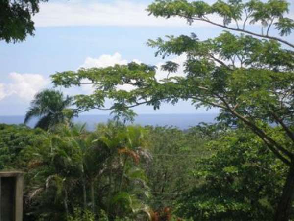 Land For Sale With A Beautiful Ocean View!