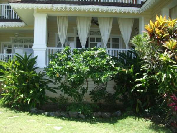 Ocean Front Condo In The Center Of Sosua