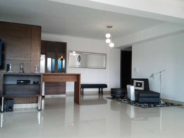 Luxury New Penthouse In Santiago