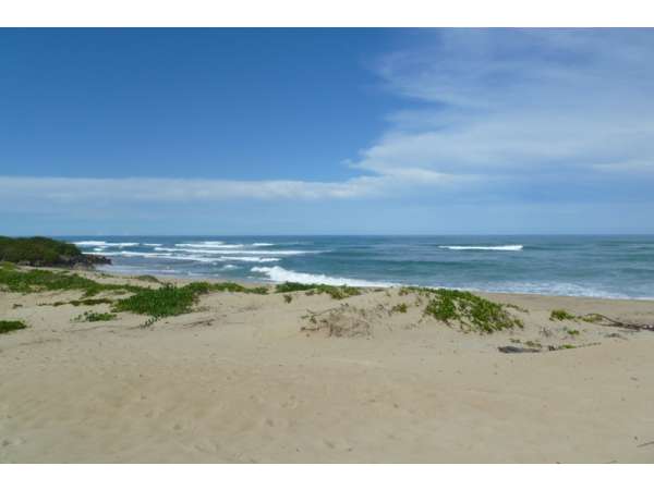 Beach Front Lot In Cabarete 2100 M2