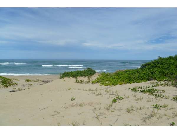 Beach Front Lot In Cabarete 2100 M2