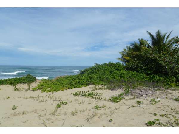 Beach Front Lot In Cabarete 2100 M2