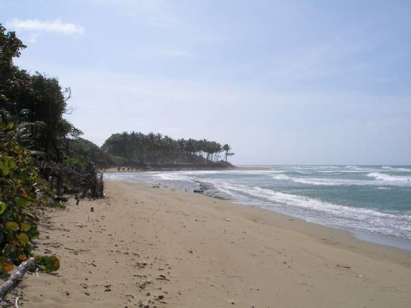 Beach Front Lot In Cabarete 2100 M2