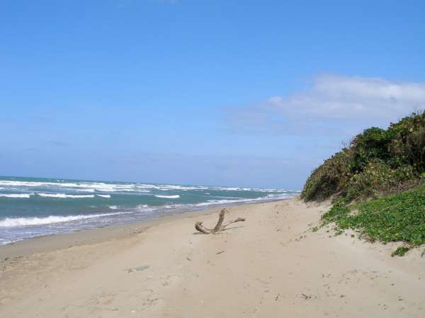 Beach Front Lot In Cabarete 2100 M2