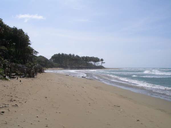 Beach Front Lot In Cabarete 2100 M2