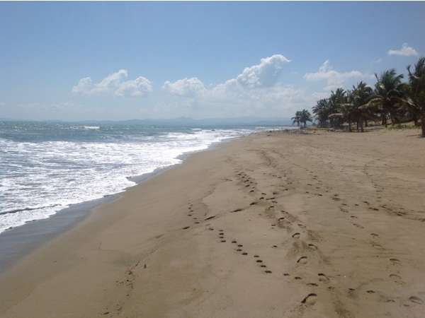 Great Condo On The Beach In Cabarete