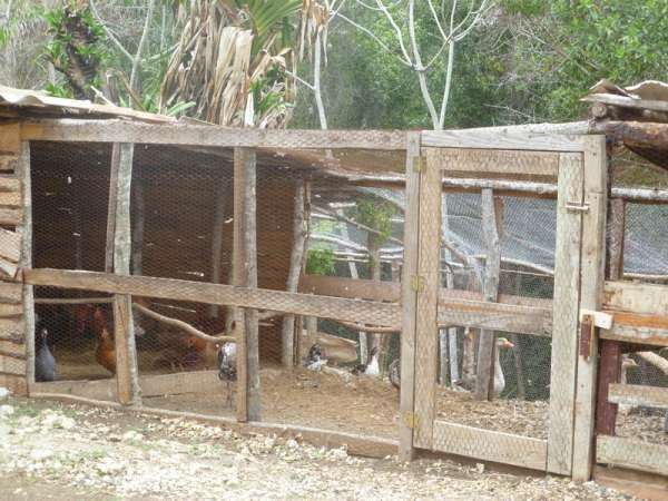 Small Micro Farm $ 85000 Usd