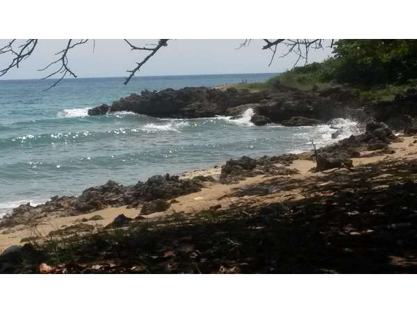 10000 Sq Meter Private Beach Front Lot @ Sea Horse