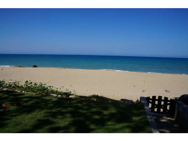 Great Value On A Ocean Front Condo