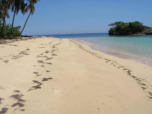 Beach Front In Samana Price To Sell At $ 55 Usd A