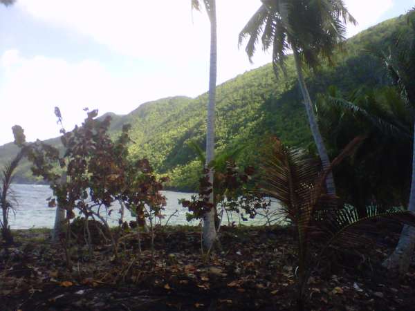 Beach Front In Samana Price To Sell At $ 55 Usd A