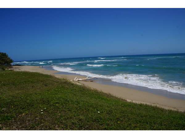 One Of The Last Ocean Front Lots