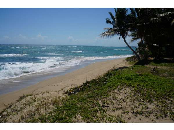 One Of The Last Ocean Front Lots