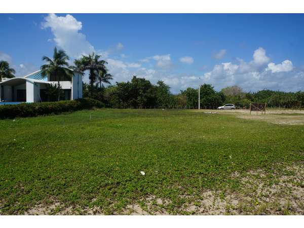 One Of The Last Ocean Front Lots