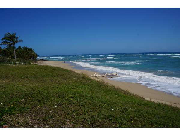 One Of The Last Ocean Front Lots
