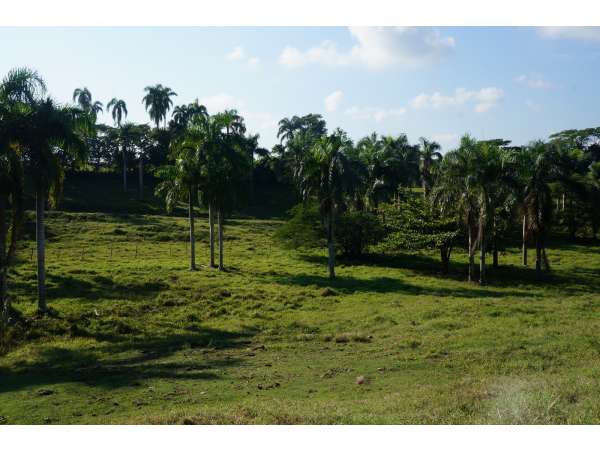 Beautiful Lot In A Gated Community Financing