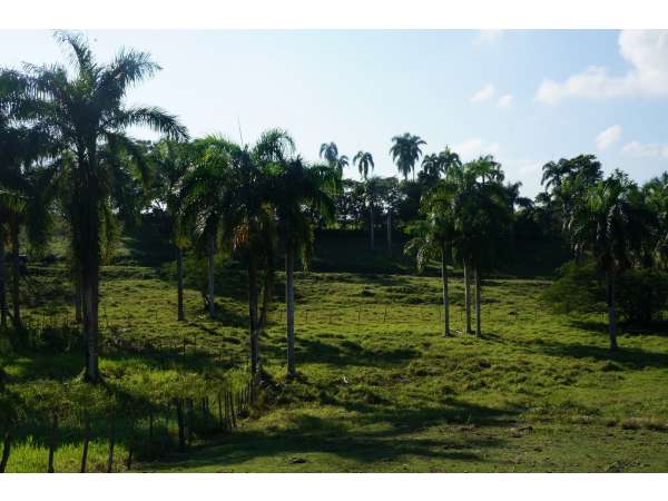 Beautiful Lot In A Gated Community Financing