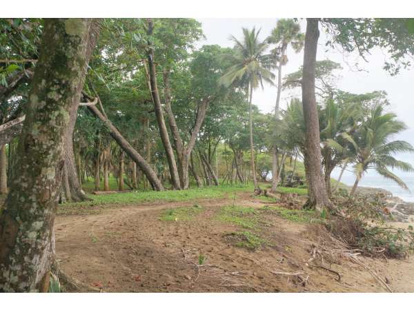 125000 Meters Of Beach Front Between Sosua &