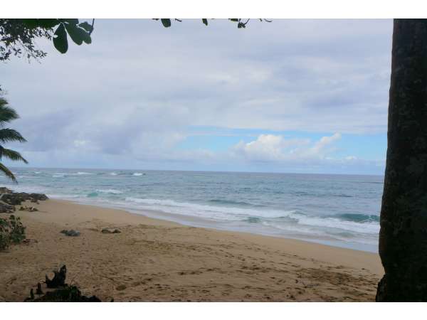 125000 Meters Of Beach Front Between Sosua &