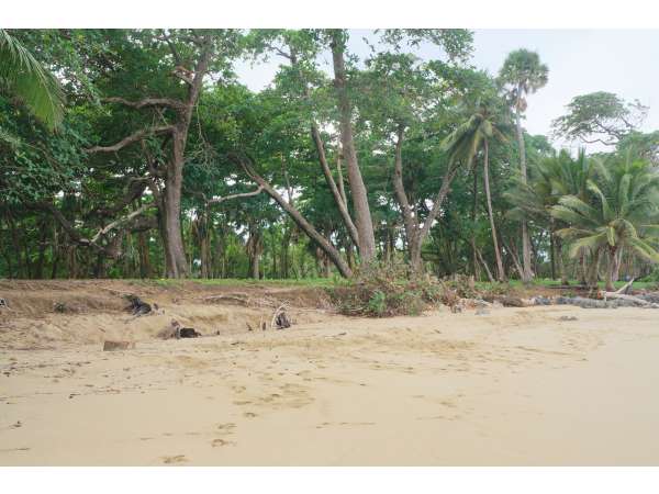 125000 Meters Of Beach Front Between Sosua &