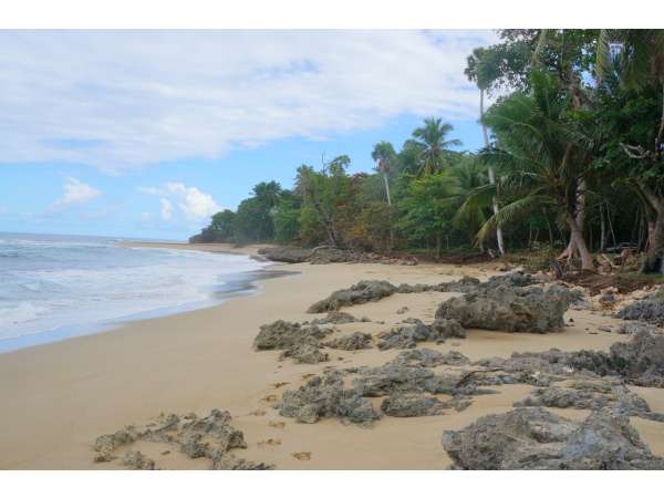 125000 Meters Of Beach Front Between Sosua &