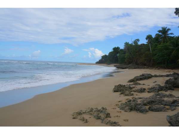 125000 Meters Of Beach Front Between Sosua &