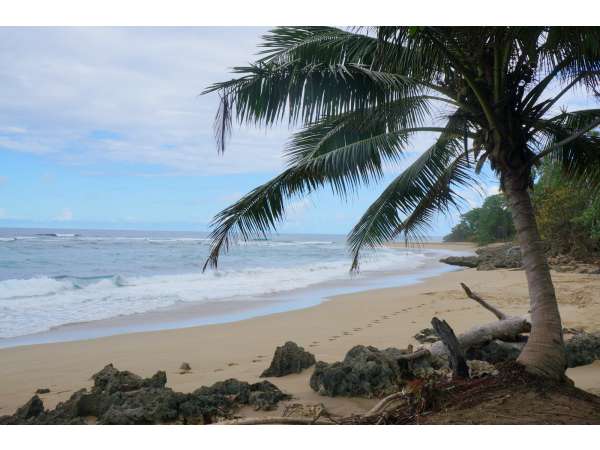 125000 Meters Of Beach Front Between Sosua &