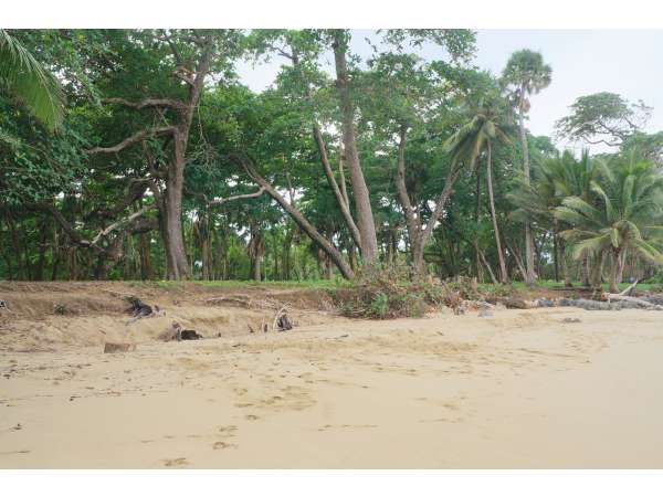 Golf Land With Beach  Amazing Opportunity