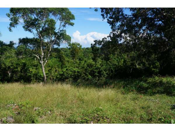 One Full Acre Of Land With Beautiful Ocean View.