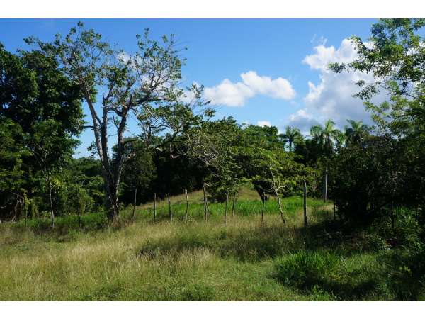 One Full Acre Of Land With Beautiful Ocean View.