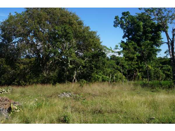 One Full Acre Of Land With Beautiful Ocean View.
