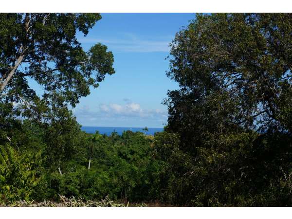 One Full Acre Of Land With Beautiful Ocean View.