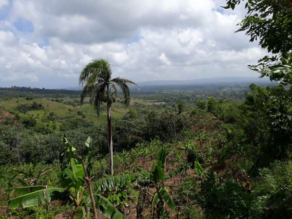 Former Cocoa And Coffee Farm