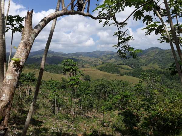 Former Cocoa And Coffee Farm