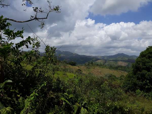 Former Cocoa And Coffee Farm