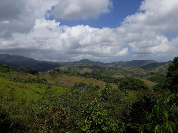 Former Cocoa And Coffee Farm