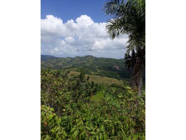Former Cocoa And Coffee Farm