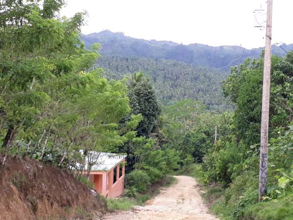 Coconut And Cocoa Farm