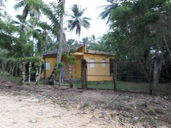 Coconut And Cocoa Farm