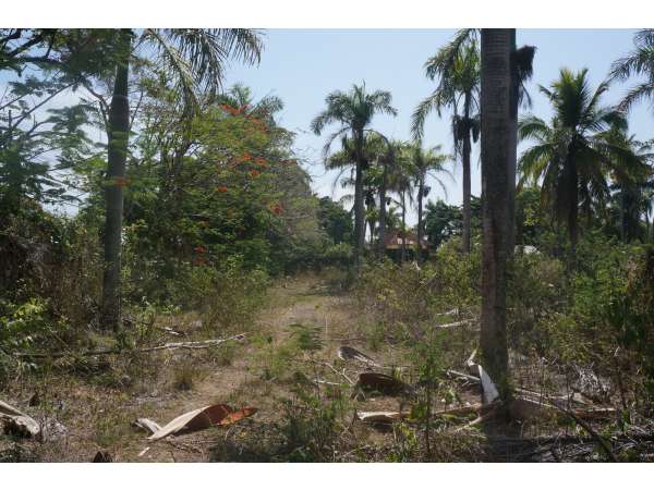 Best Commercial Location On Main Road Sosua -