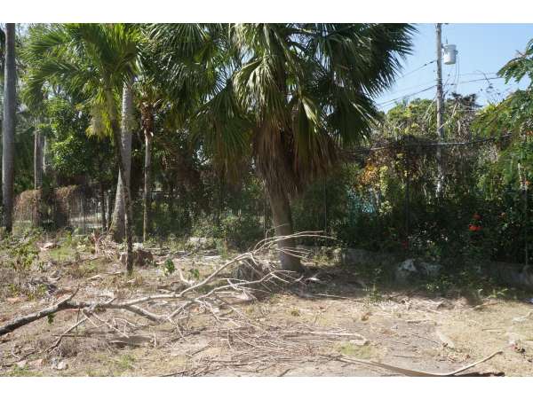 Best Commercial Location On Main Road Sosua -