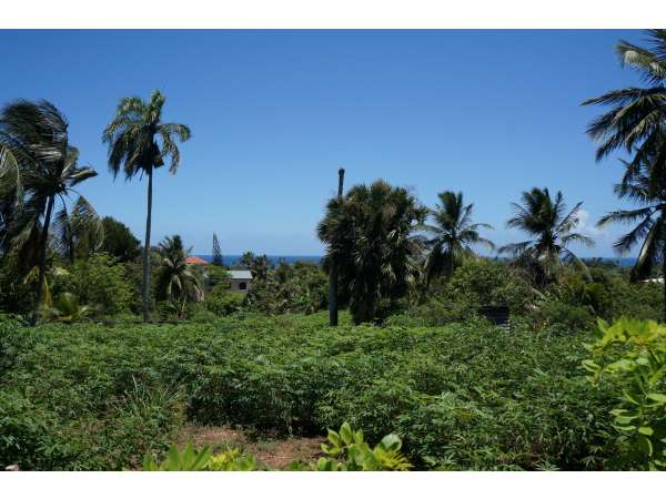 World Famous Encuentro Beach 2200 Meters