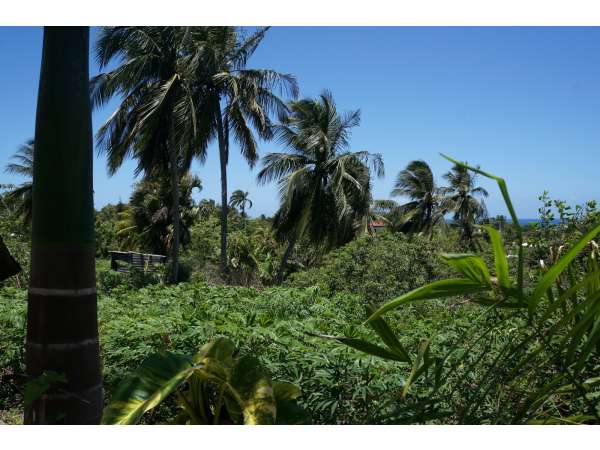 World Famous Encuentro Beach 2200 Meters