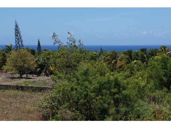 Great Ocean View Lot In Gated Community