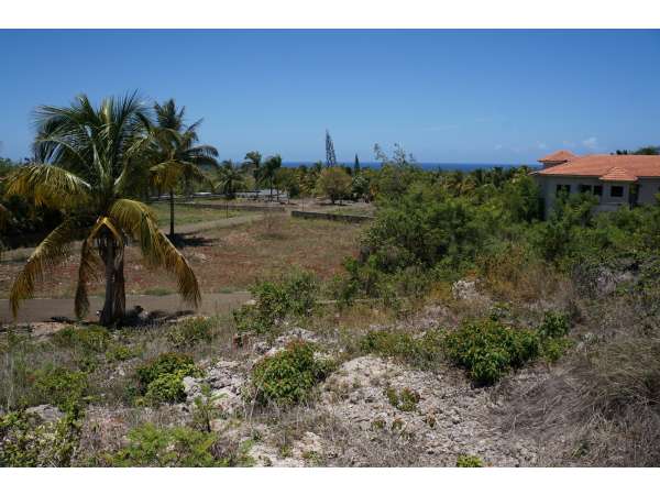 Great Ocean View Lot In Gated Community