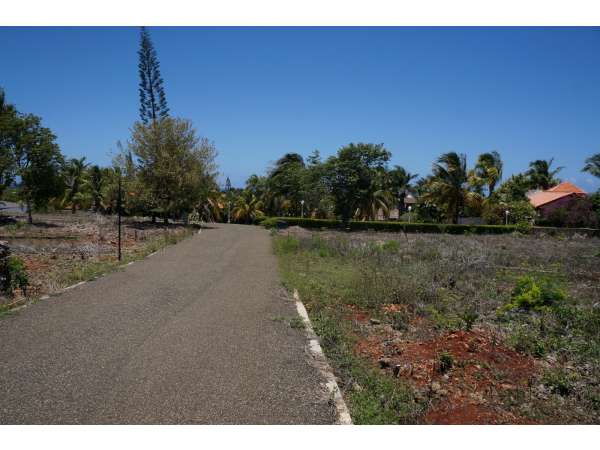 Great Ocean View Lot In Gated Community