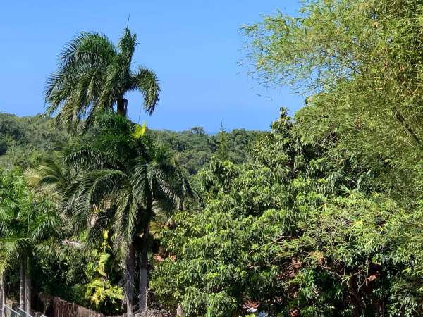 Beautiful Modern 4 Bedroom 3.5 Bath Villa In The