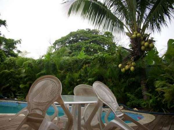 7 Room Hotel In Downtown Sosua
