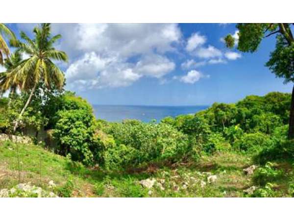 Lot With Beautiful Ocean Views